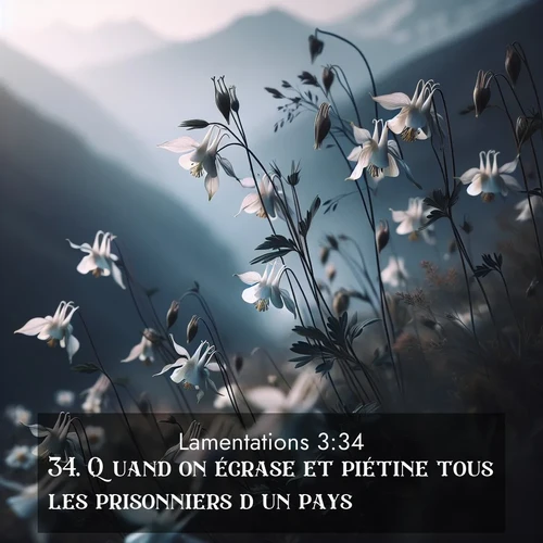 Segond21 Lamentations  ; image nature: image avec le verset biblique :Quand on écrase et piétine tous les prisonniers d&#039;un pays, ;  ; 3:34