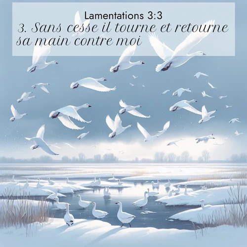 Segond21 Lamentations  ; image nature: image avec le verset biblique :Sans cesse il tourne et retourne sa main contre moi. ;  ; 3:3