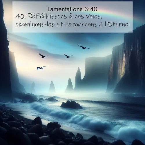 Segond21 Lamentations  ; image nature: image avec le verset biblique :Réfléchissons à nos voies, examinons-les et retournons à l&#039;Eternel! ;  ; 3:40