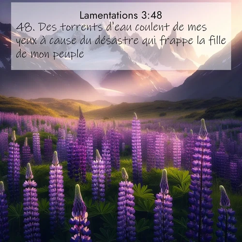 Segond21 Lamentations  ; image nature: image avec le verset biblique :Des torrents d&#039;eau coulent de mes yeux à cause du désastre qui frappe la fille de mon peuple. ;  ; 3:48