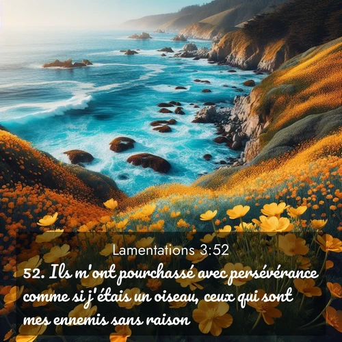 Segond21 Lamentations  ; image nature: image avec le verset biblique :Ils m&#039;ont pourchassé avec persévérance comme si j&#039;étais un oiseau, ceux qui sont mes ennemis sans raison. ;  ; 3:52