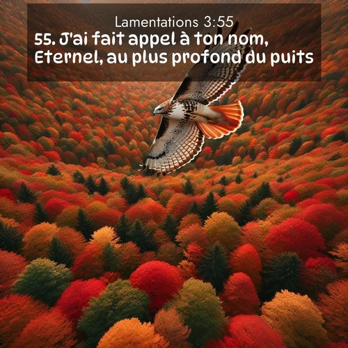 Segond21 Lamentations  ; image nature: image avec le verset biblique :J&#039;ai fait appel à ton nom, Eternel, au plus profond du puits. ;  ; 3:55