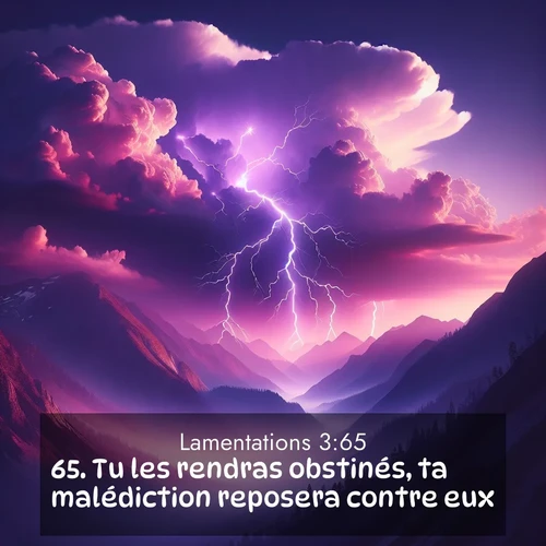 Segond21 Lamentations  ; image nature: image avec le verset biblique :Tu les rendras obstinés, ta malédiction reposera contre eux. ;  ; 3:65