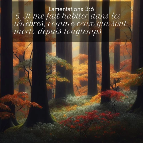 Segond21 Lamentations  ; image nature: image avec le verset biblique :Il me fait habiter dans les ténèbres, comme ceux qui sont morts depuis longtemps. ;  ; 3:6