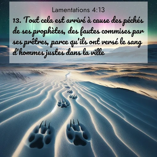 Segond21 Lamentations  ; image nature: image avec le verset biblique :Tout cela est arrivé à cause des péchés de ses prophètes, des fautes commises par ses prêtres, parce qu&#039;ils ont versé le sang d&#039;hommes justes dans la ville. ;  ; 4:13