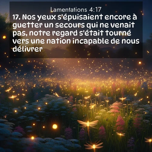 Segond21 Lamentations  ; image nature: image avec le verset biblique :Nos yeux s&#039;épuisaient encore à guetter un secours qui ne venait pas, notre regard s&#039;était tourné vers une nation incapable de nous délivrer. ;  ; 4:17
