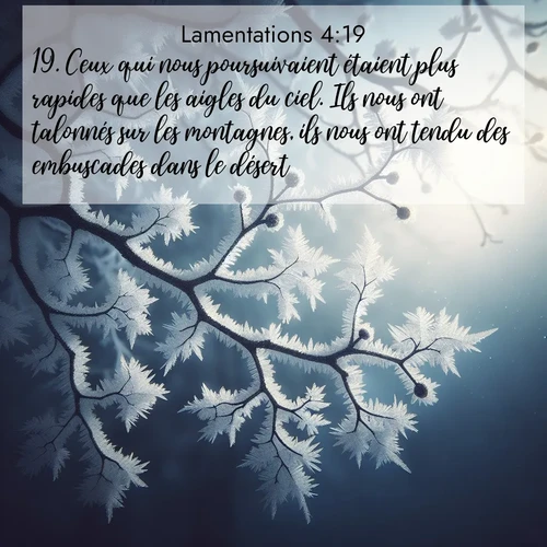 Segond21 Lamentations  ; image nature: image avec le verset biblique :Ceux qui nous poursuivaient étaient plus rapides que les aigles du ciel. Ils nous ont talonnés sur les montagnes, ils nous ont tendu des embuscades dans le désert. ;  ; 4:19