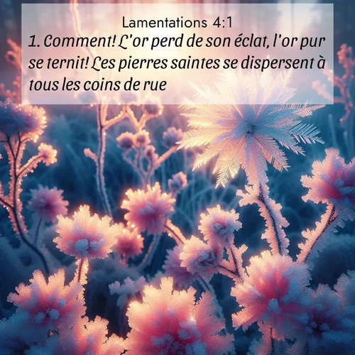 Segond21 Lamentations  ; image nature: image avec le verset biblique :Comment! L&#039;or perd de son éclat, l&#039;or pur se ternit! Les pierres saintes se dispersent à tous les coins de rue! ;  ; 4:1