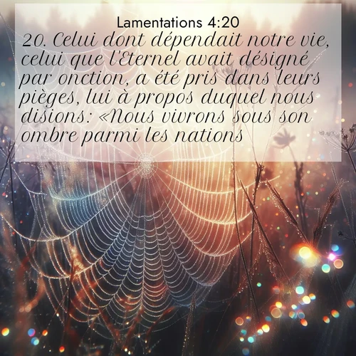 Segond21 Lamentations  ; image nature: image avec le verset biblique :Celui dont dépendait notre vie, celui que l&#039;Eternel avait désigné par onction, a été pris dans leurs pièges, lui à propos duquel nous disions: «Nous vivrons sous son ombre parmi les nations.» ;  ; 4:20