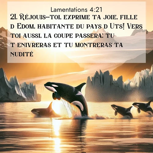 Segond21 Lamentations  ; image nature: image avec le verset biblique :Réjouis-toi, exprime ta joie, fille d&#039;Edom, habitante du pays d&#039;Uts! Vers toi aussi, la coupe passera: tu t&#039;enivreras et tu montreras ta nudité. ;  ; 4:21