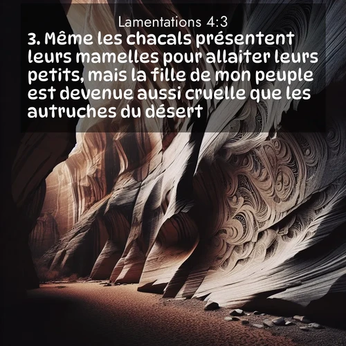 Segond21 Lamentations  ; image nature: image avec le verset biblique :Même les chacals présentent leurs mamelles pour allaiter leurs petits, mais la fille de mon peuple est devenue aussi cruelle que les autruches du désert. ;  ; 4:3