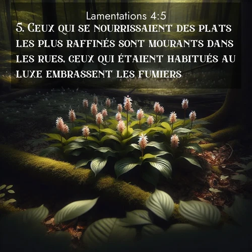 Segond21 Lamentations  ; image nature: image avec le verset biblique :Ceux qui se nourrissaient des plats les plus raffinés sont mourants dans les rues, ceux qui étaient habitués au luxe embrassent les fumiers. ;  ; 4:5