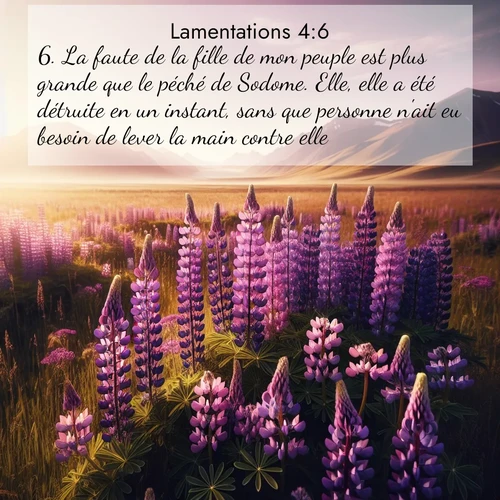 Segond21 Lamentations  ; image nature: image avec le verset biblique :La faute de la fille de mon peuple est plus grande que le péché de Sodome. Elle, elle a été détruite en un instant, sans que personne n&#039;ait eu besoin de lever la main contre elle. ;  ; 4:6