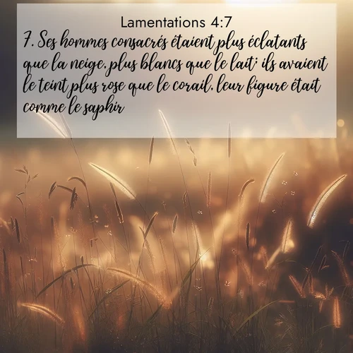 Segond21 Lamentations  ; image nature: image avec le verset biblique :Ses hommes consacrés étaient plus éclatants que la neige, plus blancs que le lait; ils avaient le teint plus rose que le corail, leur figure était comme le saphir. ;  ; 4:7