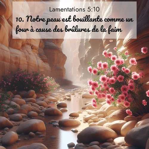 Segond21 Lamentations  ; image nature: image avec le verset biblique :Notre peau est bouillante comme un four à cause des brûlures de la faim. ;  ; 5:10
