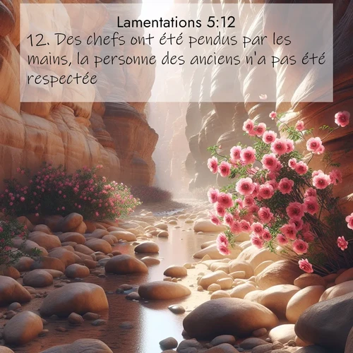 Segond21 Lamentations  ; image nature: image avec le verset biblique :Des chefs ont été pendus par les mains, la personne des anciens n&#039;a pas été respectée. ;  ; 5:12