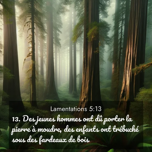 Segond21 Lamentations  ; image nature: image avec le verset biblique :Des jeunes hommes ont dû porter la pierre à moudre, des enfants ont trébuché sous des fardeaux de bois. ;  ; 5:13