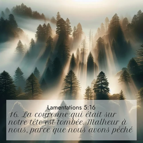 Segond21 Lamentations  ; image nature: image avec le verset biblique :La couronne qui était sur notre tête est tombée. Malheur à nous, parce que nous avons péché! ;  ; 5:16