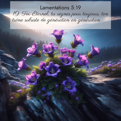 Segond21 Lamentations  ; image nature: image avec le verset biblique :Toi, Eternel, tu règnes pour toujours, ton trône subsiste de génération en génération. ;  ; 5:19