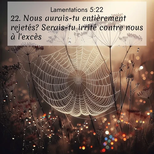 Segond21 Lamentations  ; image nature: image avec le verset biblique :Nous aurais-tu entièrement rejetés? Serais-tu irrité contre nous à l&#039;excès? ;  ; 5:22