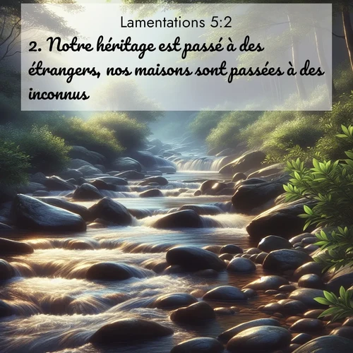 Segond21 Lamentations  ; image nature: image avec le verset biblique :Notre héritage est passé à des étrangers, nos maisons sont passées à des inconnus. ;  ; 5:2