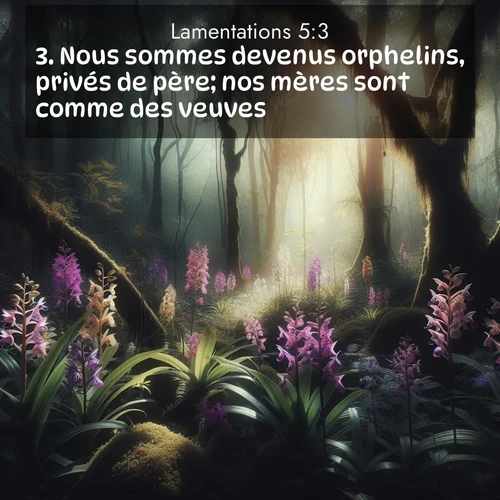 Segond21 Lamentations  ; image nature: image avec le verset biblique :Nous sommes devenus orphelins, privés de père; nos mères sont comme des veuves. ;  ; 5:3