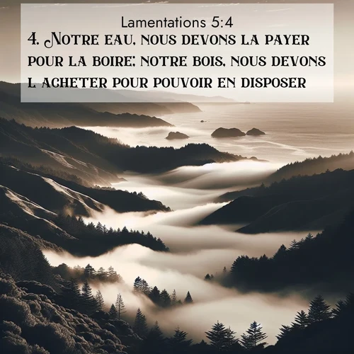 Segond21 Lamentations  ; image nature: image avec le verset biblique :Notre eau, nous devons la payer pour la boire; notre bois, nous devons l&#039;acheter pour pouvoir en disposer. ;  ; 5:4