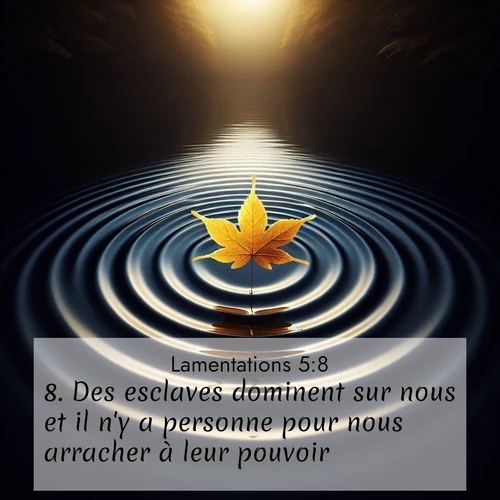 Segond21 Lamentations  ; image nature: image avec le verset biblique :Des esclaves dominent sur nous et il n&#039;y a personne pour nous arracher à leur pouvoir. ;  ; 5:8
