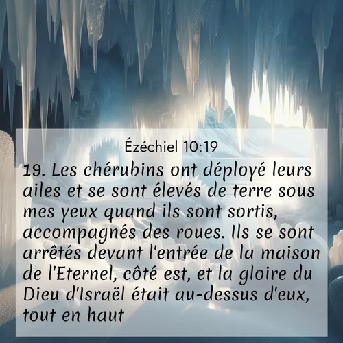 Segond21 Ézéchiel  ; image nature: image avec le verset biblique :Les chérubins ont déployé leurs ailes et se sont élevés de terre sous mes yeux quand ils sont sortis, accompagnés des roues. Ils se sont arrêtés devant l&#039;entrée de la maison de l&#039;Eternel, côté est, et la gloire du Dieu d&#039;Israël était au-dessus d&#039;eux, tout en haut. ;  ; 10:19