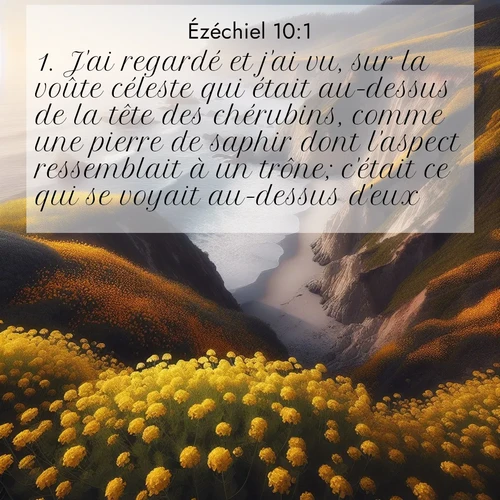 Segond21 Ézéchiel  ; image nature: image avec le verset biblique :J&#039;ai regardé et j&#039;ai vu, sur la voûte céleste qui était au-dessus de la tête des chérubins, comme une pierre de saphir dont l&#039;aspect ressemblait à un trône; c&#039;était ce qui se voyait au-dessus d&#039;eux. ;  ; 10:1