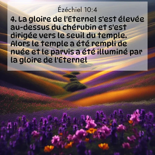 Segond21 Ézéchiel  ; image nature: image avec le verset biblique :La gloire de l&#039;Eternel s&#039;est élevée au-dessus du chérubin et s&#039;est dirigée vers le seuil du temple. Alors le temple a été rempli de nuée et le parvis a été illuminé par la gloire de l&#039;Eternel. ;  ; 10:4