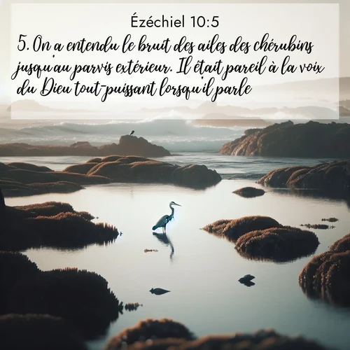 Segond21 Ézéchiel  ; image nature: image avec le verset biblique :On a entendu le bruit des ailes des chérubins jusqu&#039;au parvis extérieur. Il était pareil à la voix du Dieu tout-puissant lorsqu&#039;il parle. ;  ; 10:5