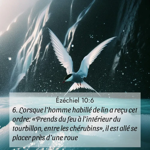 Segond21 Ézéchiel  ; image nature: image avec le verset biblique :Lorsque l&#039;homme habillé de lin a reçu cet ordre: «Prends du feu à l&#039;intérieur du tourbillon, entre les chérubins», il est allé se placer près d&#039;une roue. ;  ; 10:6
