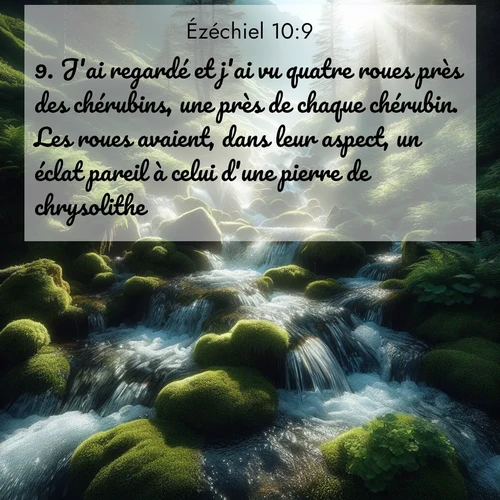 Segond21 Ézéchiel  ; image nature: image avec le verset biblique :J&#039;ai regardé et j&#039;ai vu quatre roues près des chérubins, une près de chaque chérubin. Les roues avaient, dans leur aspect, un éclat pareil à celui d&#039;une pierre de chrysolithe. ;  ; 10:9