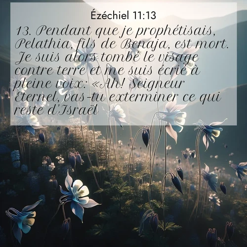 Segond21 Ézéchiel  ; image nature: image avec le verset biblique :Pendant que je prophétisais, Pelathia, fils de Benaja, est mort. Je suis alors tombé le visage contre terre et me suis écrié à pleine voix: «Ah! Seigneur Eternel, vas-tu exterminer ce qui reste d&#039;Israël?» ;  ; 11:13