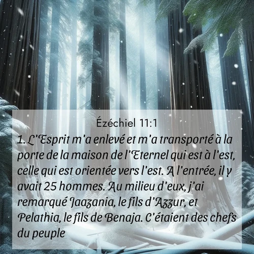 Segond21 Ézéchiel  ; image nature: image avec le verset biblique :L&#039;Esprit m&#039;a enlevé et m&#039;a transporté à la porte de la maison de l&#039;Eternel qui est à l&#039;est, celle qui est orientée vers l&#039;est. A l&#039;entrée, il y avait 25 hommes. Au milieu d&#039;eux, j&#039;ai remarqué Jaazania, le fils d&#039;Azzur, et Pelathia, le fils de Benaja. C&#039;étaient des chefs du peuple. ;  ; 11:1