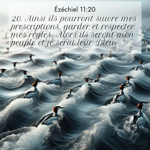 Segond21 Ézéchiel  ; image nature: image avec le verset biblique :Ainsi ils pourront suivre mes prescriptions, garder et respecter mes règles. Alors ils seront mon peuple et je serai leur Dieu. ;  ; 11:20