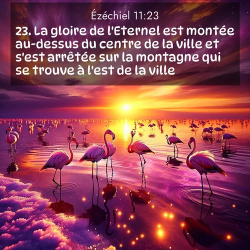 Segond21 Ézéchiel  ; image nature: image avec le verset biblique :La gloire de l&#039;Eternel est montée au-dessus du centre de la ville et s&#039;est arrêtée sur la montagne qui se trouve à l&#039;est de la ville. ;  ; 11:23