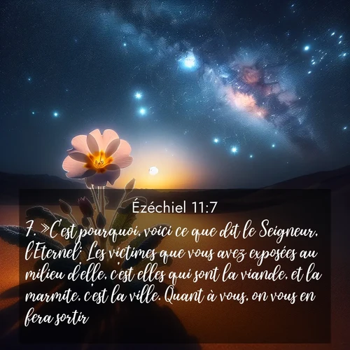 Segond21 Ézéchiel  ; image nature: image avec le verset biblique :»C&#039;est pourquoi, voici ce que dit le Seigneur, l&#039;Eternel: Les victimes que vous avez exposées au milieu d&#039;elle, c&#039;est elles qui sont la viande, et la marmite, c&#039;est la ville. Quant à vous, on vous en fera sortir. ;  ; 11:7