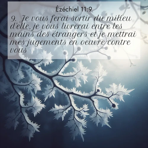Segond21 Ézéchiel  ; image nature: image avec le verset biblique :Je vous ferai sortir du milieu d&#039;elle, je vous livrerai entre les mains des étrangers et je mettrai mes jugements en oeuvre contre vous. ;  ; 11:9