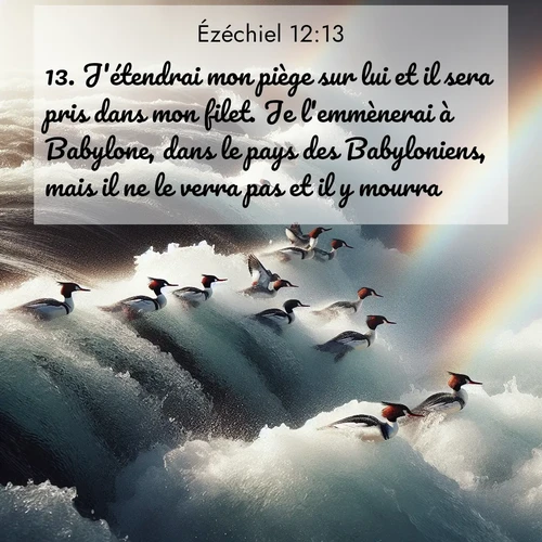 Segond21 Ézéchiel  ; image nature: image avec le verset biblique :J&#039;étendrai mon piège sur lui et il sera pris dans mon filet. Je l&#039;emmènerai à Babylone, dans le pays des Babyloniens, mais il ne le verra pas et il y mourra. ;  ; 12:13