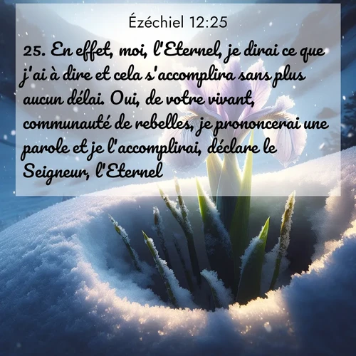 Segond21 Ézéchiel  ; image nature: image avec le verset biblique :En effet, moi, l&#039;Eternel, je dirai ce que j&#039;ai à dire et cela s&#039;accomplira sans plus aucun délai. Oui, de votre vivant, communauté de rebelles, je prononcerai une parole et je l&#039;accomplirai, déclare le Seigneur, l&#039;Eternel.» ;  ; 12:25