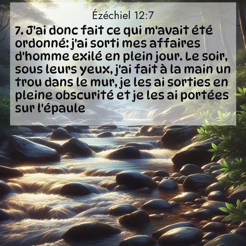 Segond21 Ézéchiel  ; image nature: image avec le verset biblique :J&#039;ai donc fait ce qui m&#039;avait été ordonné: j&#039;ai sorti mes affaires d&#039;homme exilé en plein jour. Le soir, sous leurs yeux, j&#039;ai fait à la main un trou dans le mur, je les ai sorties en pleine obscurité et je les ai portées sur l&#039;épaule. ;  ; 12:7