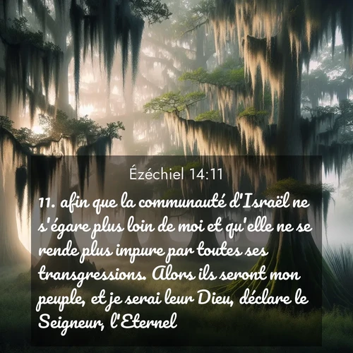 Segond21 Ézéchiel  ; image nature: image avec le verset biblique :afin que la communauté d&#039;Israël ne s&#039;égare plus loin de moi et qu&#039;elle ne se rende plus impure par toutes ses transgressions. Alors ils seront mon peuple, et je serai leur Dieu, déclare le Seigneur, l&#039;Eternel.» ;  ; 14:11