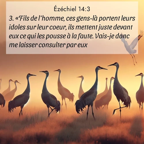 Segond21 Ézéchiel  ; image nature: image avec le verset biblique :«Fils de l&#039;homme, ces gens-là portent leurs idoles sur leur coeur, ils mettent juste devant eux ce qui les pousse à la faute. Vais-je donc me laisser consulter par eux? ;  ; 14:3