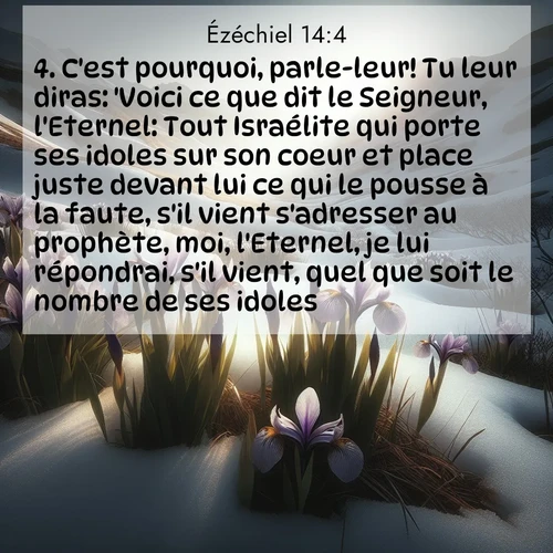 Segond21 Ézéchiel  ; image nature: image avec le verset biblique :C&#039;est pourquoi, parle-leur! Tu leur diras: &#039;Voici ce que dit le Seigneur, l&#039;Eternel: Tout Israélite qui porte ses idoles sur son coeur et place juste devant lui ce qui le pousse à la faute, s&#039;il vient s&#039;adresser au prophète, moi, l&#039;Eternel, je lui répondrai, s&#039;il vient, quel que soit le nombre de ses idoles. ;  ; 14:4