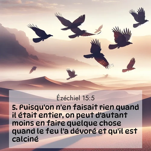 Segond21 Ézéchiel  ; image nature: image avec le verset biblique :Puisqu&#039;on n&#039;en faisait rien quand il était entier, on peut d&#039;autant moins en faire quelque chose quand le feu l&#039;a dévoré et qu&#039;il est calciné! ;  ; 15:5