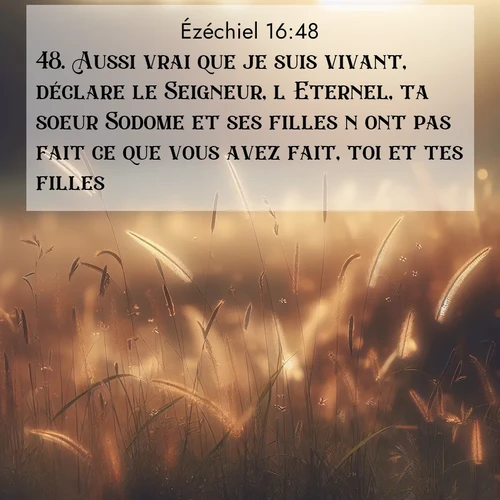 Segond21 Ézéchiel  ; image nature: image avec le verset biblique :Aussi vrai que je suis vivant, déclare le Seigneur, l&#039;Eternel, ta soeur Sodome et ses filles n&#039;ont pas fait ce que vous avez fait, toi et tes filles. ;  ; 16:48