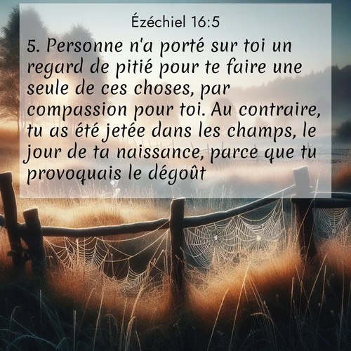Segond21 Ézéchiel  ; image nature: image avec le verset biblique :Personne n&#039;a porté sur toi un regard de pitié pour te faire une seule de ces choses, par compassion pour toi. Au contraire, tu as été jetée dans les champs, le jour de ta naissance, parce que tu provoquais le dégoût. ;  ; 16:5