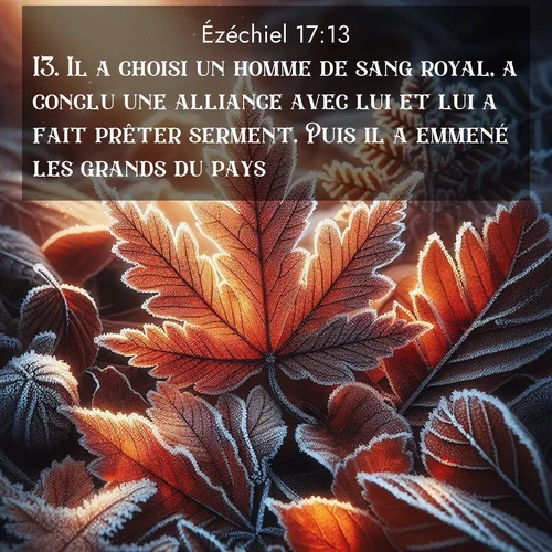 Segond21 Ézéchiel  ; image nature: image avec le verset biblique :Il a choisi un homme de sang royal, a conclu une alliance avec lui et lui a fait prêter serment. Puis il a emmené les grands du pays ;  ; 17:13